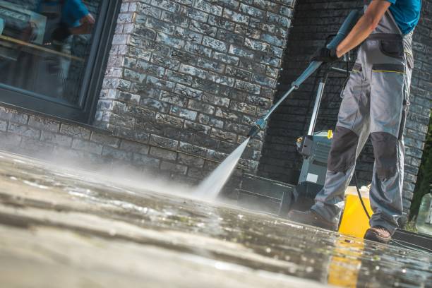 Best Driveway Pressure Washing  in Yelm, WA